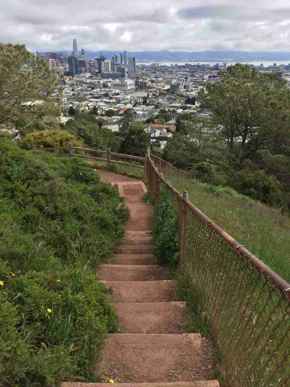 Overcast skies over a clear view of downtown San Francisco, and the East Bay in the distance, dirt steps descending in the foreground, green bushes on both sides, with a half-height rusting chain-link fence on the right.