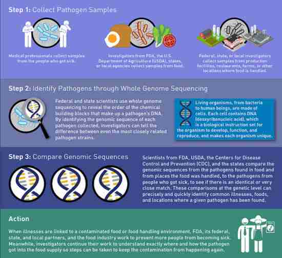 graphic USDA whole genome sequencing
