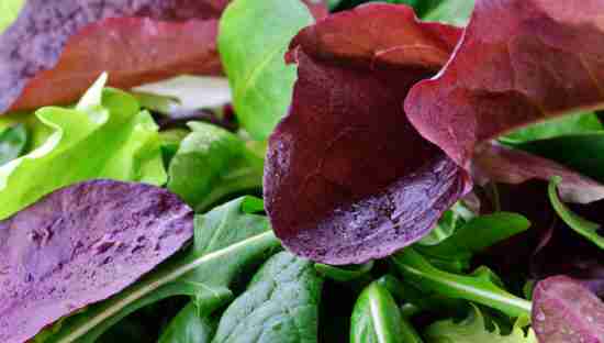 leafy greens with red lettuce