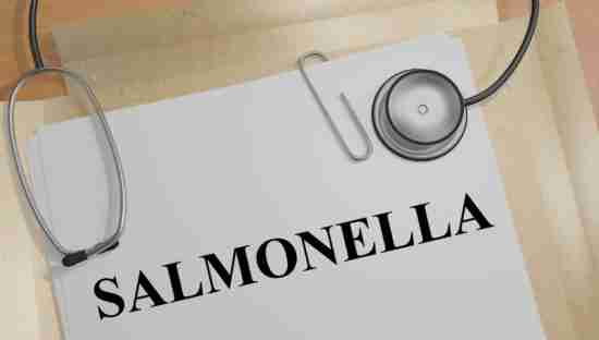 3D illustration of 'SALMONELLA' title on a medical document