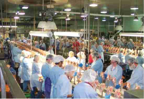 949a60ed-8eca-4a18-9b70-16abca3ac875-Poultry_workers_2_from_GAO_Report