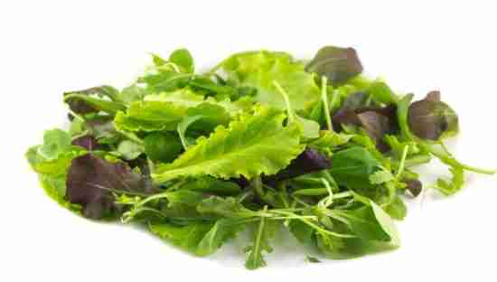 dreamstime_salad leaves mixed produce
