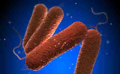 http://www.dreamstime.com/royalty-free-stock-images-salmonella-bacteria-blue-background-microbiology-image43059399