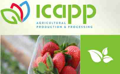 logo ICAPP Egypt strawberries