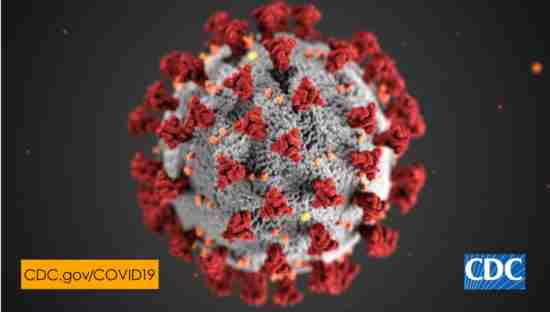 coronavirus COVID-19 CDC